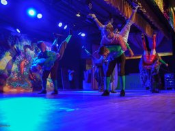 prunksitzung auerbach-12